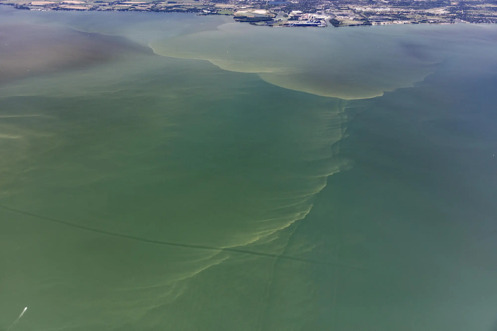 Aircraft-level view of a harmful algal bloom across western Lake Erie in 2018